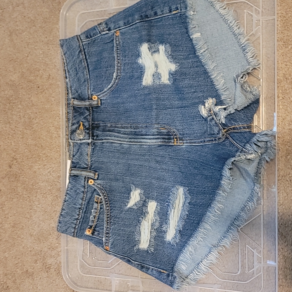 NWT Garage Cheeky Festival Shorts